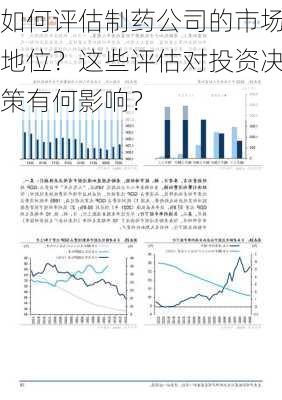 如何评估制药公司的市场地位？这些评估对投资决策有何影响？