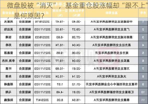 微盘股被“消灭”，基金重仓股涨幅却“跟不上”，是何原因？