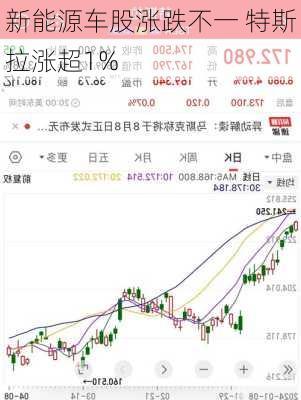 新能源车股涨跌不一 特斯拉涨超1%