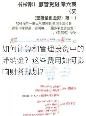 如何计算和管理投资中的滞纳金？这些费用如何影响财务规划？