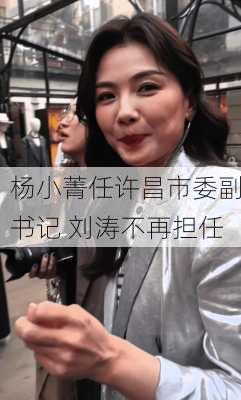 杨小菁任许昌市委副书记 刘涛不再担任