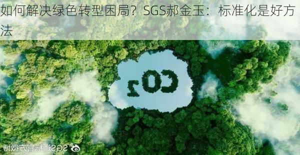 如何解决绿色转型困局？SGS郝金玉：标准化是好方法