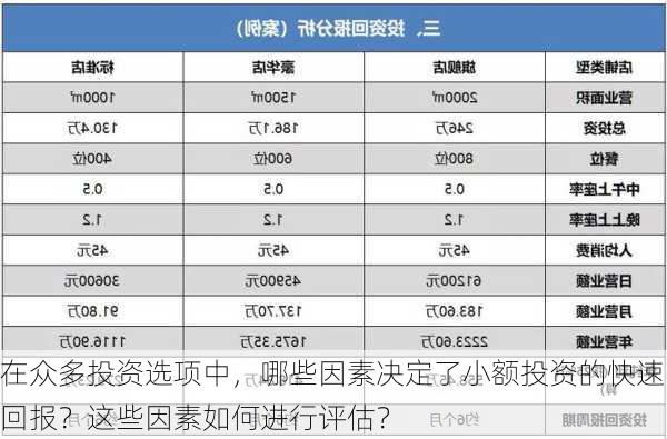 在众多投资选项中，哪些因素决定了小额投资的快速回报？这些因素如何进行评估？