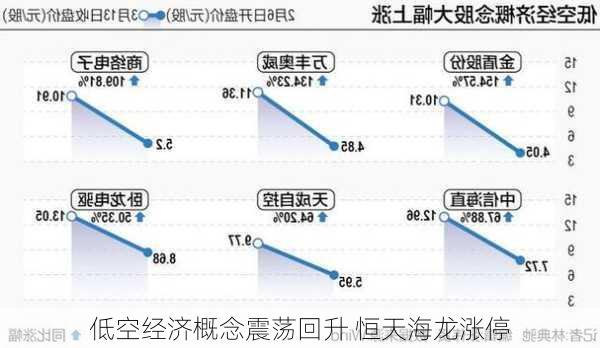 低空经济概念震荡回升 恒天海龙涨停