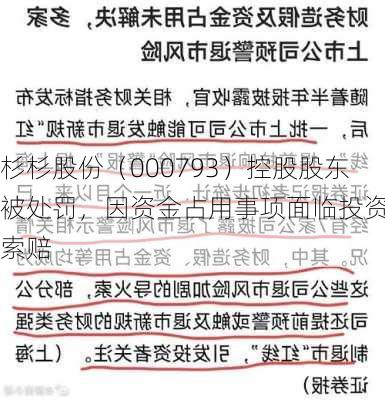 杉杉股份（000793）控股股东被处罚，因资金占用事项面临投资者索赔