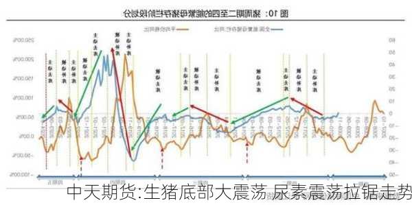 中天期货:生猪底部大震荡 尿素震荡拉锯走势