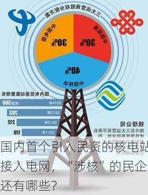 国内首个引入民资的核电站接入电网，“涉核”的民企还有哪些？