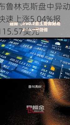 布鲁林克斯盘中异动 快速上涨5.04%报115.57美元