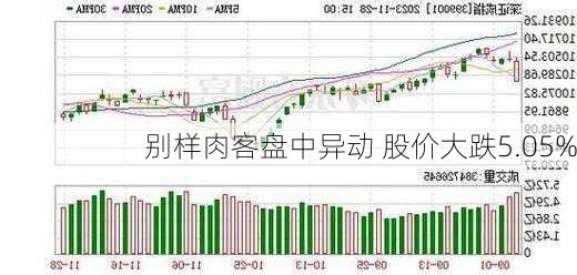 别样肉客盘中异动 股价大跌5.05%