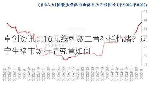 卓创资讯：16元线刺激二育补栏情绪？辽宁生猪市场行情究竟如何