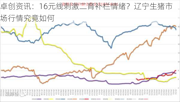 卓创资讯：16元线刺激二育补栏情绪？辽宁生猪市场行情究竟如何