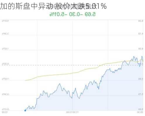 加的斯盘中异动 股价大跌5.01%