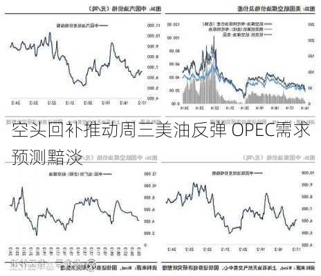 空头回补推动周三美油反弹 OPEC需求预测黯淡