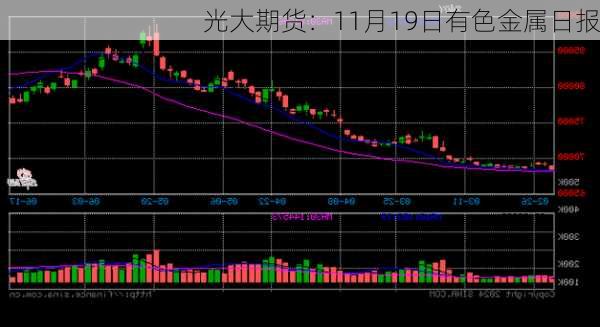 光大期货：11月19日有色金属日报