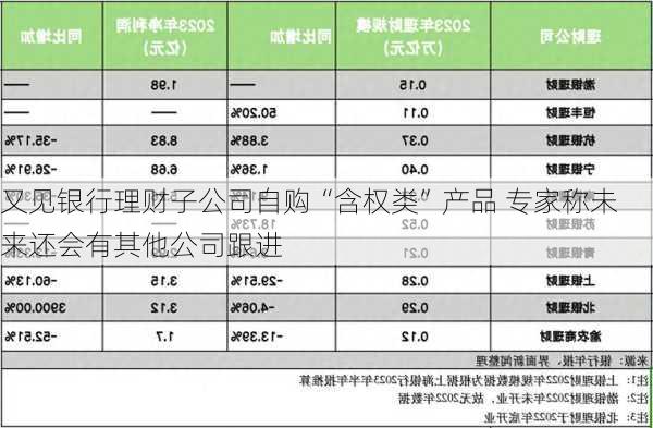 又见银行理财子公司自购“含权类”产品 专家称未来还会有其他公司跟进