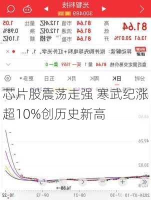 芯片股震荡走强 寒武纪涨超10%创历史新高