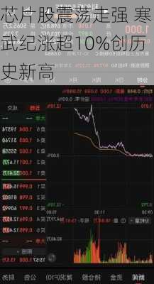 芯片股震荡走强 寒武纪涨超10%创历史新高