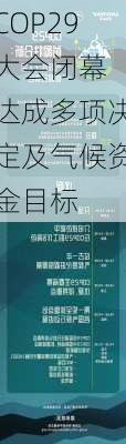 COP29大会闭幕 达成多项决定及气候资金目标